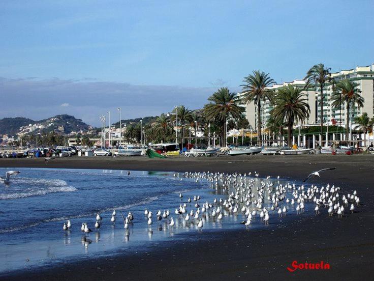 Apartamento El Bambu Cerca Del Mar Málaga Exterior foto